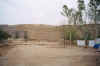 BackYard.jpg (36625 bytes)