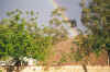 PotOfGold3.jpg (66906 bytes)